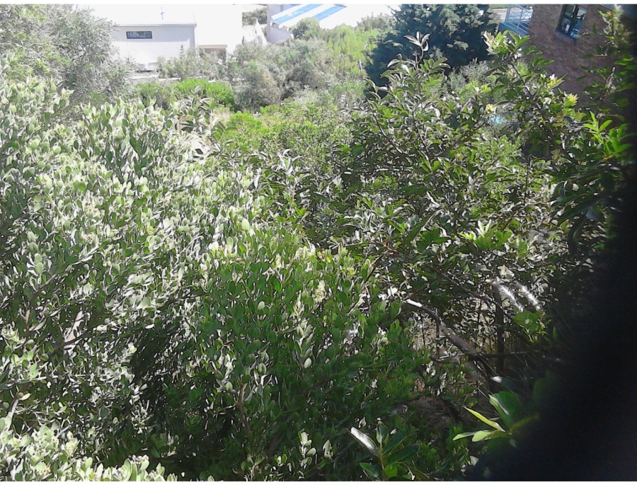 Commercial Property for Sale in Mountainside Western Cape
